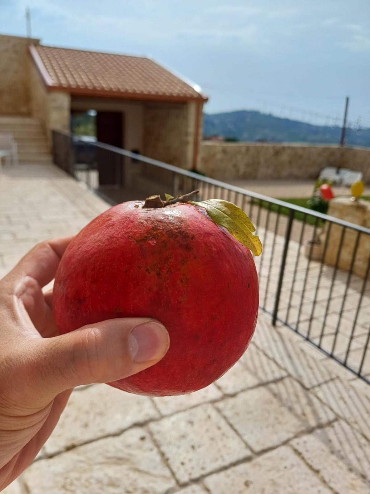 Masseria Torre Saracena Agrigento Esterno foto